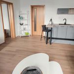Rent 2 bedroom apartment of 65 m² in Liberec