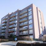 Rent 2 bedroom apartment of 80 m² in Wezembeek-Oppem