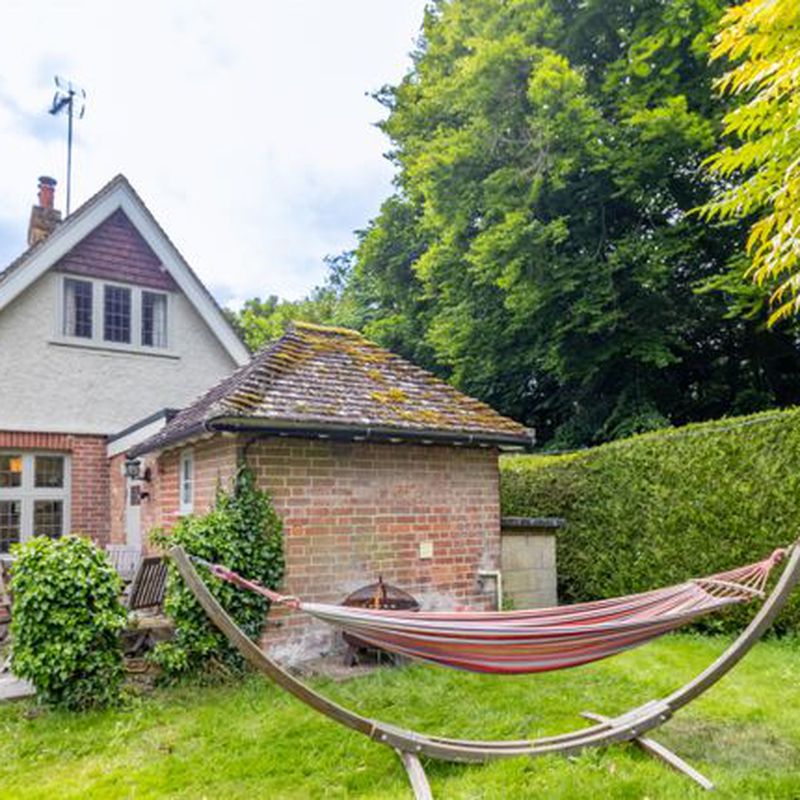 Cottage to rent in Colden Lane, Old Alresford, Alresford, Hampshire SO24 Bighton