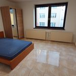 Rent 1 bedroom apartment in Bor