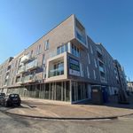 Appartement de 60 m² avec 1 chambre(s) en location à Namur