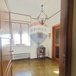 Rent 3 bedroom apartment of 75 m² in L'Aquila