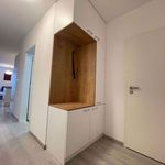 Pronajměte si 2 ložnic/e byt o rozloze 55 m² v Zichovec