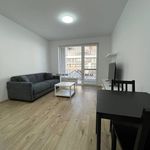 Rent 1 bedroom apartment of 25 m² in Konstantinovy Lázně