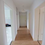 Rent 3 bedroom house of 75 m² in München
