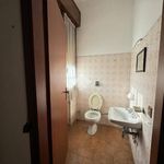 Rent 1 bedroom apartment of 60 m² in Mantova