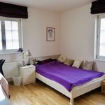 Rent 1 bedroom house of 360 m² in Praha