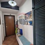 Affitto 2 camera appartamento di 60 m² in Pomezia