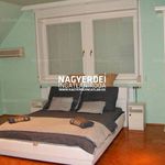 Rent 7 bedroom house of 428 m² in Debrecen