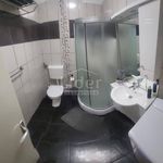 Rent 2 bedroom apartment of 50 m² in County of Primorje-Gorski kotar