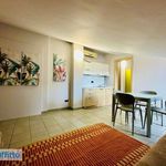 Rent 2 bedroom apartment of 45 m² in Alba
