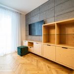 Rent 2 bedroom apartment of 43 m² in Bielsko-biała