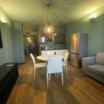 Rent 1 bedroom apartment of 500 m² in Venezia