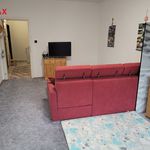 Rent 3 bedroom apartment of 68 m² in Vimperk
