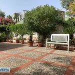 Rent 4 bedroom apartment of 146 m² in Palermo