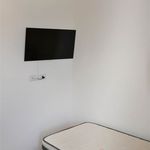 Rent 4 bedroom apartment of 80 m² in Pomezia