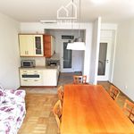Rent 1 bedroom apartment of 106 m² in Plzeň