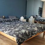 Rent 1 bedroom apartment in Manosque