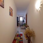 Affitto 1 camera appartamento di 65 m² in San Biagio di Callalta
