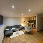Rent 2 bedroom house of 45 m² in Lyon