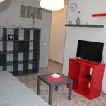 Rent 1 bedroom apartment of 24 m² in Las Palmas