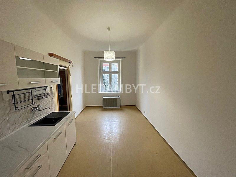 Rent 2 bedroom apartment of 46 m² in Praha
