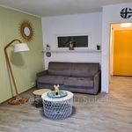 Rent 1 bedroom apartment of 26 m² in Bandol