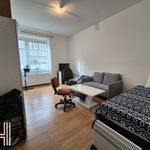 Rent 1 bedroom apartment of 95 m² in Žumberk