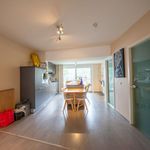 Rent 1 bedroom apartment in Wingene