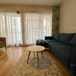 Rent 2 bedroom apartment of 57 m² in Budapest