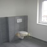 Rent 1 bedroom apartment of 112 m² in Teplice