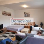 Rent 1 bedroom apartment of 41 m² in Zichovec