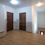 Rent 2 bedroom apartment of 45 m² in Jesenik