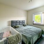 Rent 2 bedroom apartment of 83 m² in Wilrijk
