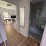 Rent 1 bedroom apartment of 22 m² in Ruppichteroth