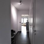 Rent 2 bedroom apartment in Mol