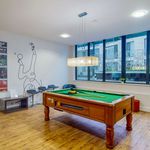 Rent 1 bedroom student apartment of 14 m² in Brighton
