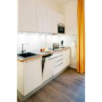 Rent 1 bedroom apartment of 35 m² in cologne