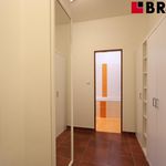 Rent 1 bedroom apartment of 45 m² in Brno