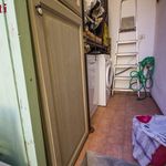 Rent 4 bedroom apartment of 110 m² in Monte Argentario