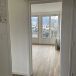 Rent 3 bedroom apartment of 62 m² in Lavelanet