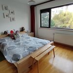 Rent 2 bedroom apartment in Schaerbeek - Schaarbeek