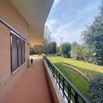 Rent 1 bedroom house of 400 m² in Roma
