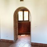 Rent 1 bedroom apartment of 30 m² in Grottaferrata