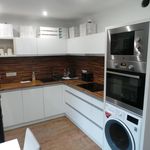 Rent 1 bedroom apartment of 45 m² in Litvínov