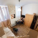 Rent 1 bedroom apartment of 27 m² in Praha