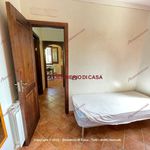 Affitto 3 camera appartamento di 70 m² in Campofelice di Roccella
