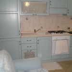 Rent 1 bedroom apartment of 30 m² in Marino