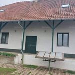 Rent 10 bedroom house of 375 m² in Debrecen