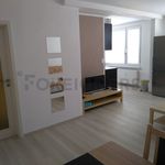 Rent 2 bedroom apartment of 55 m² in Pardubice